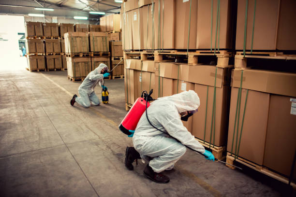 Best Emergency Pest Control  in Braddock, PA