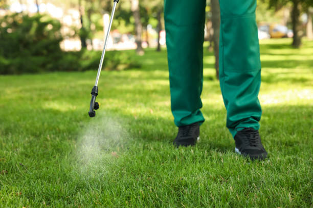 Wildlife Control Services in Braddock, PA