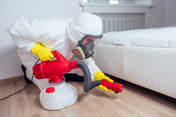 Best Affordable Pest Control Services  in Braddock, PA