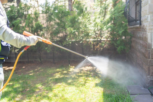 Bird Control in Braddock, PA