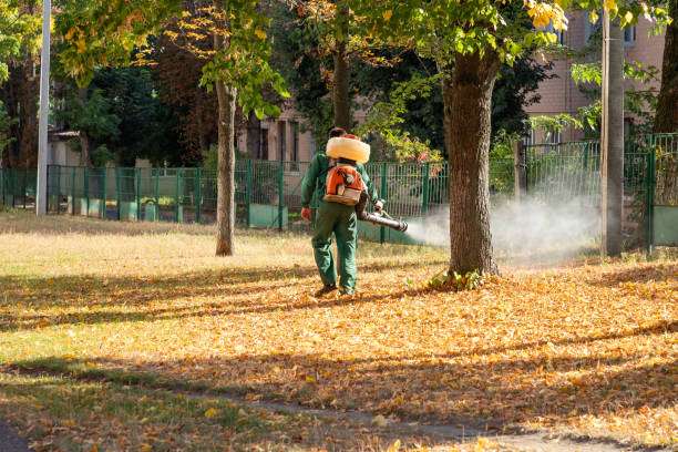 Best Pest Removal Services  in Braddock, PA