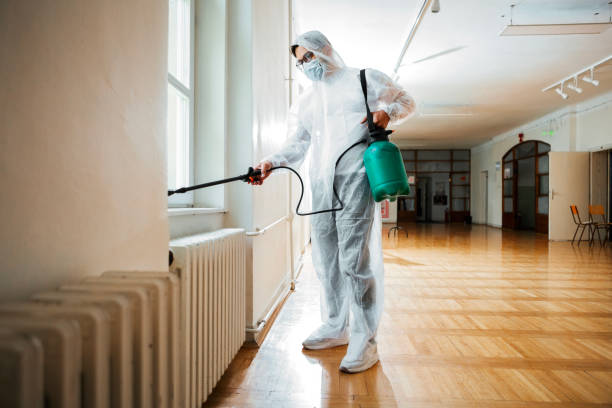 Best Residential Pest Control  in Braddock, PA