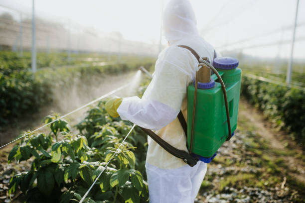 Best Emergency Pest Control  in Braddock, PA